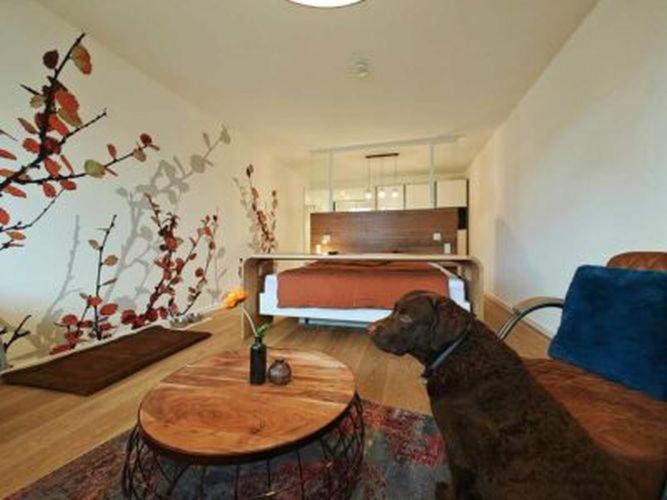 Artroom Boarding Apartment Bissendorf Buitenkant foto